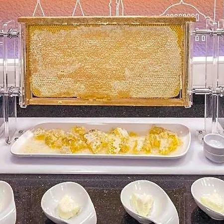 Obahan Hotel-special Class